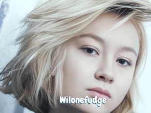 Wilonefudge