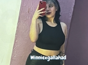 Winniexgallahad