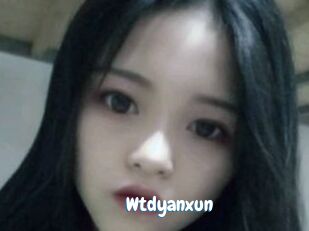 Wtdyanxun