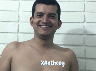 XAnthony