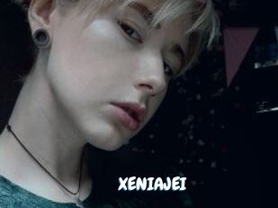 XENIA_JEI