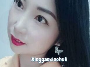Xingganxiaohuli