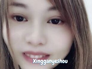 Xingganyeshou