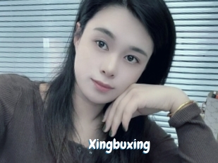 Xingbuxing