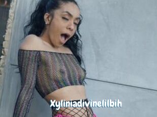 Xyliniadivinelilbih