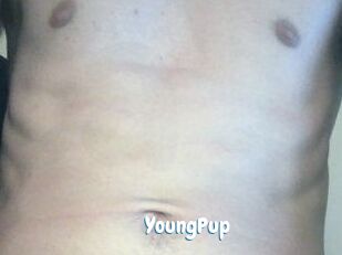 YoungPup