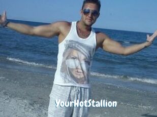 YourHotStallion