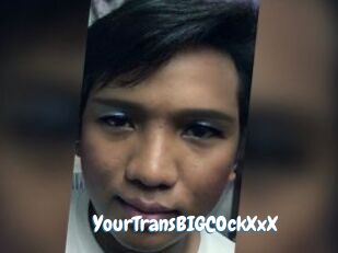 YourTransBIGCOckXxX