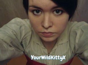 YourWildKittyX