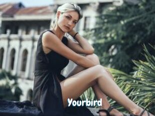 Yourbird
