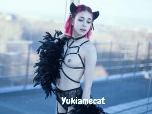 Yukiamecat
