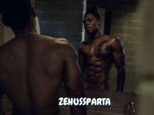 ZEHUS_SPARTA