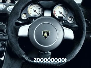 Z000000001