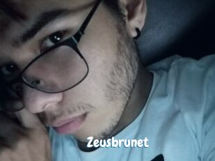 Zeusbrunet