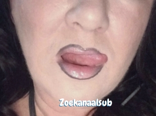 Zoekanaalsub